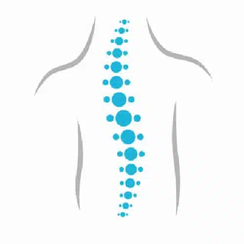 spine regeneration with stem cell