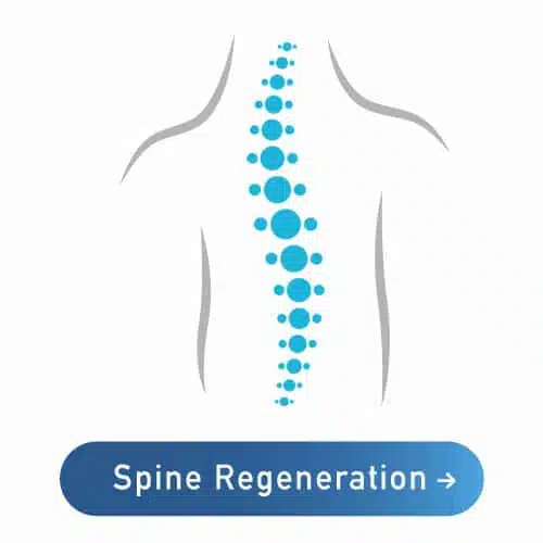 stem cell spine regeneration